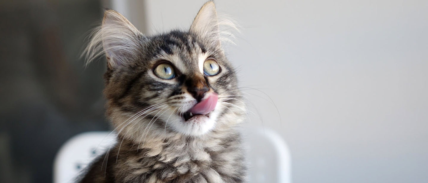 HOGYAN VÁLTOZTASS KEDVENCED ÉTRENDJÉN?