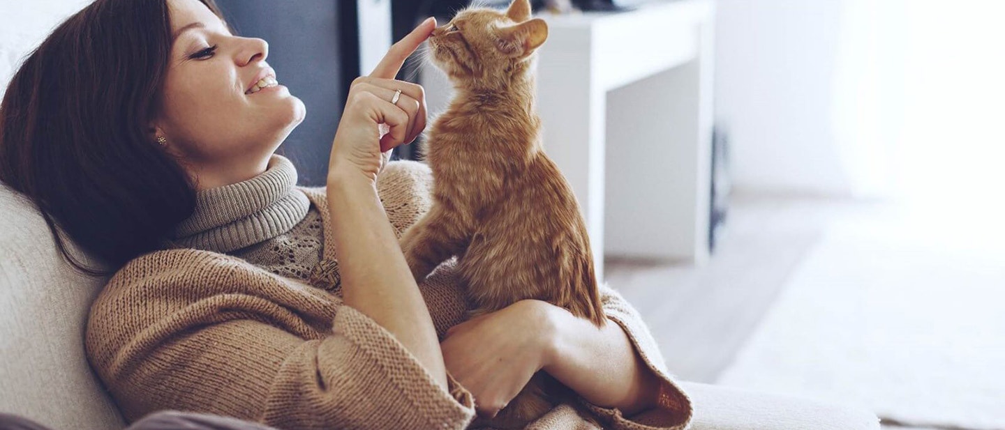 A MACSKATARTÁSSAL KAPCSOLATOS EGÉSZSÉGÜGYI ELŐNYÖK