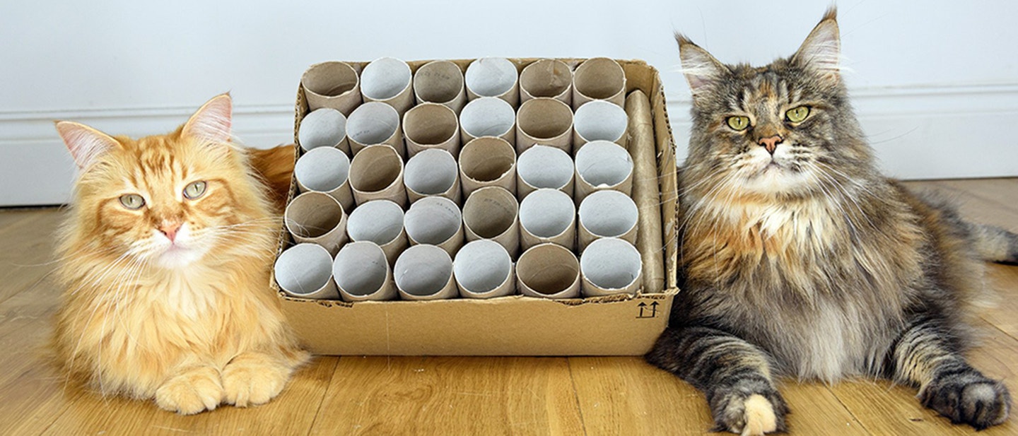 AKCIÓBAN EVÉS KÖZBEN IS