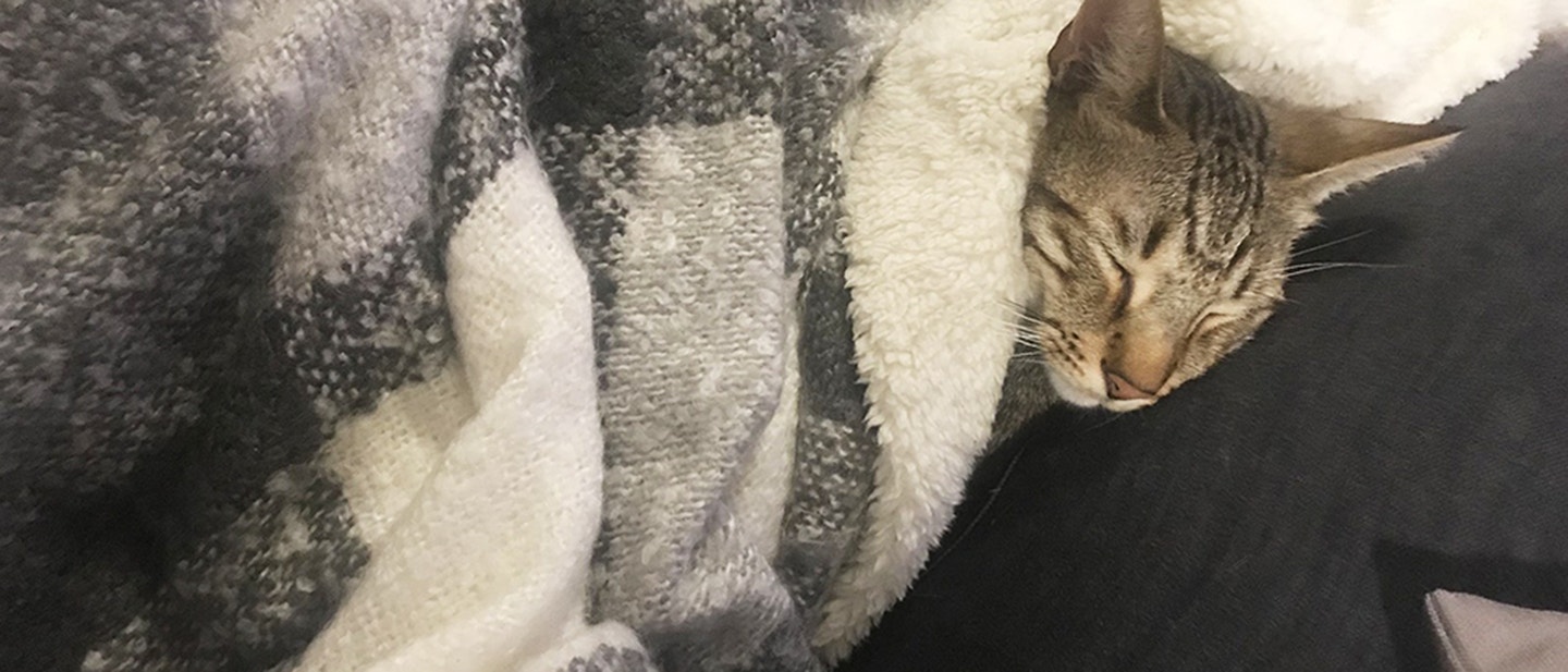 SZÁNJ IDŐT A SIMOGATÁSRA ÉS A JÁTÉKRA!