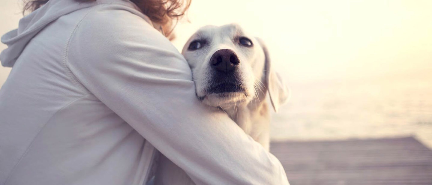 MILYEN ELŐNYÖKKEL JÁR, HA ÉLETEDET KUTYÁVAL OSZTOD MEG?