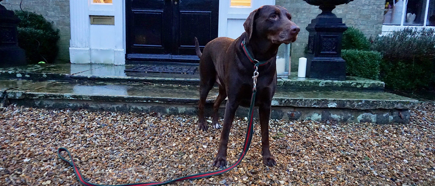 SÉTA A NAP JÁRÁSÁHOZ IGAZODVA