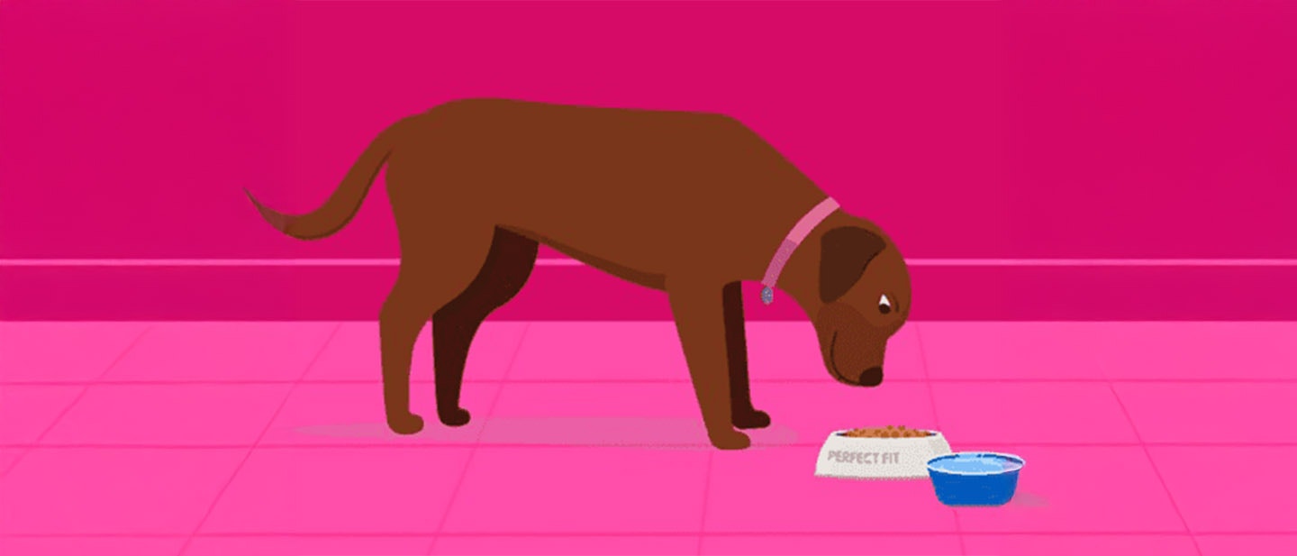 WALTHAM KONDI KISOKOS