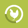 image pf_cat_icon_protein_chicken_60x60px_1727707318445