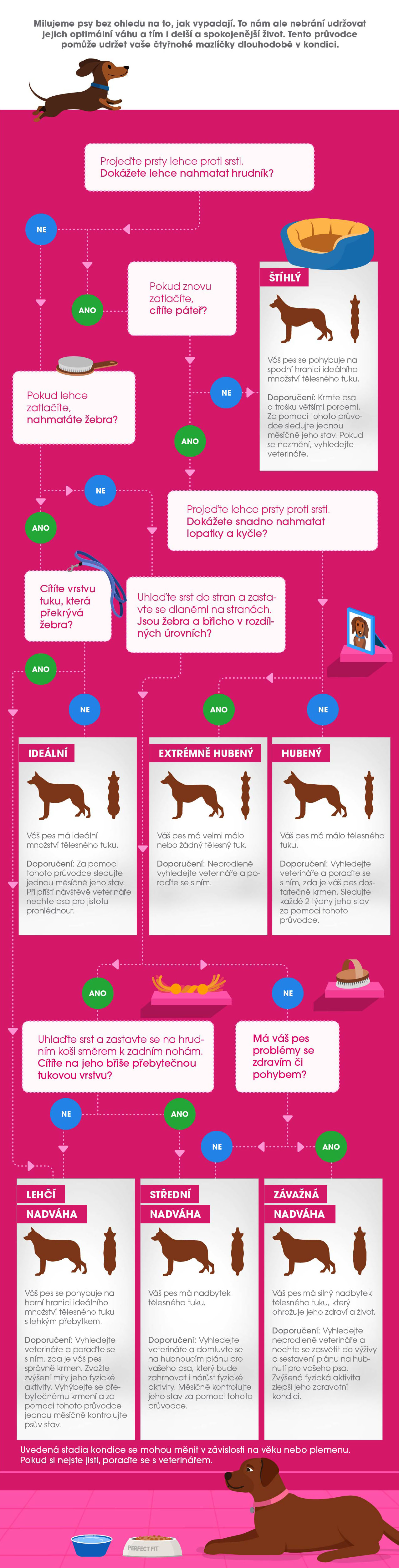 Perfect Fit™ brand imagery